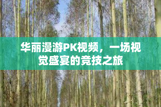 华丽漫游PK视频，一场视觉盛宴的竞技之旅