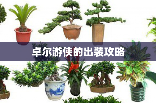 卓尔游侠的出装攻略 卓尔游侠的出装攻略