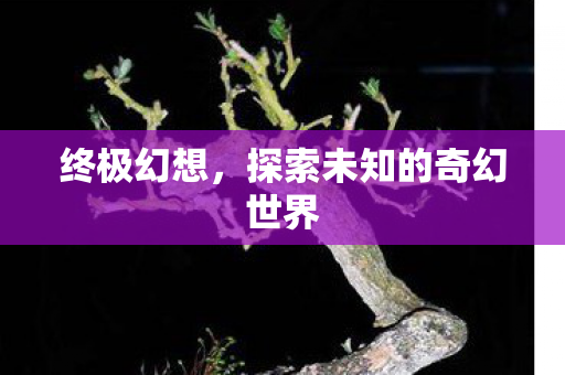 终极幻想，探索未知的奇幻世界