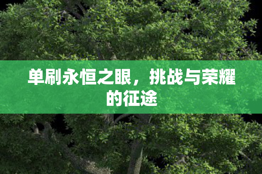 单刷永恒之眼,挑战与荣耀的征途 单刷永恒之眼,挑战与荣耀的征途