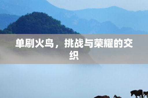 单刷火鸟，挑战与荣耀的交织