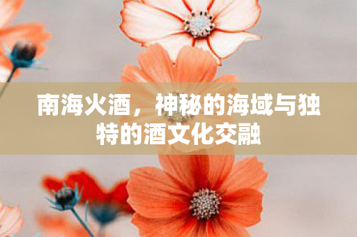 南海火酒，神秘的海域与独特的酒文化交融
