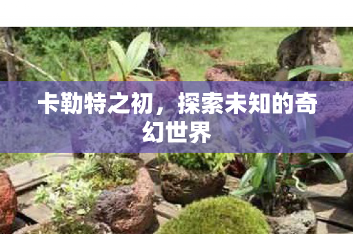 卡勒特之初，探索未知的奇幻世界