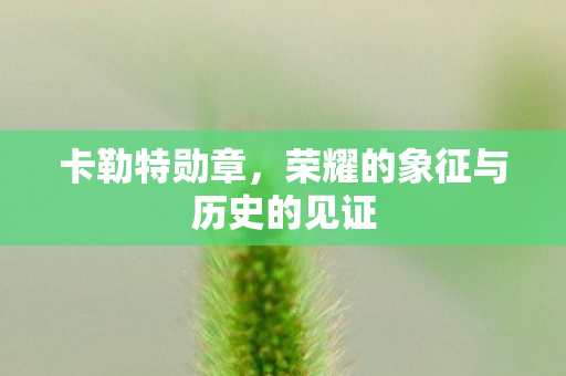 卡勒特勋章，荣耀的象征与历史的见证