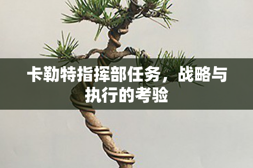卡勒特指挥部任务，战略与执行的考验