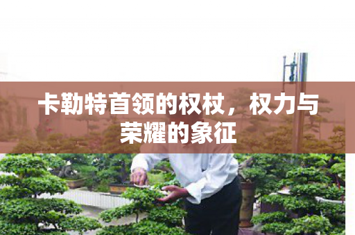 卡勒特首领的权杖，权力与荣耀的象征