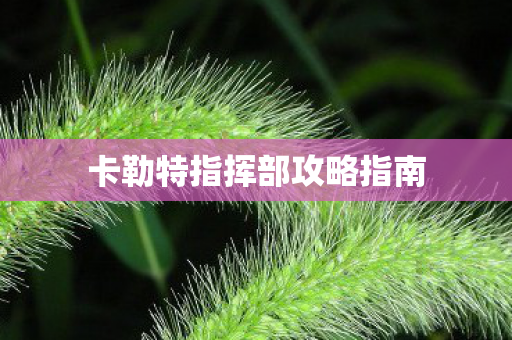 卡勒特指挥部攻略指南