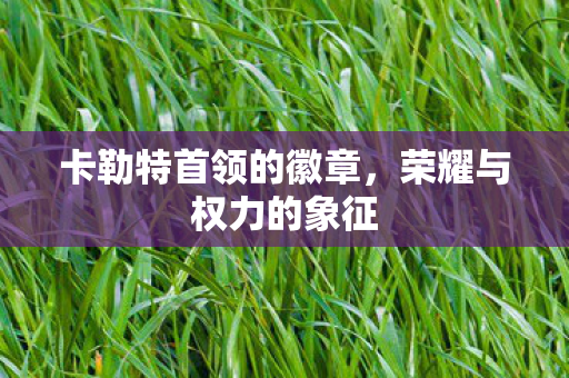 卡勒特首领的徽章,荣耀与权力的象征 卡勒特首领的徽章,荣耀与权力的象征