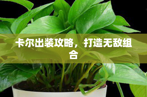 卡尔出装攻略,打造无敌组合 卡尔出装攻略,打造无敌组合