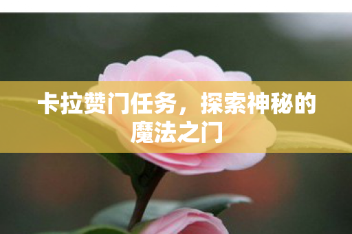 卡拉赞门任务，探索神秘的魔法之门