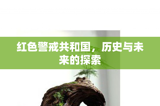 红色警戒共和国，历史与未来的探索
