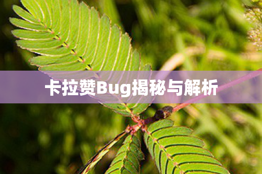 卡拉赞Bug揭秘与解析