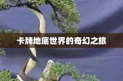 卡牌地底世界的奇幻之旅