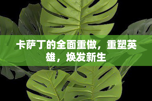 卡萨丁的全面重做，重塑英雄，焕发新生