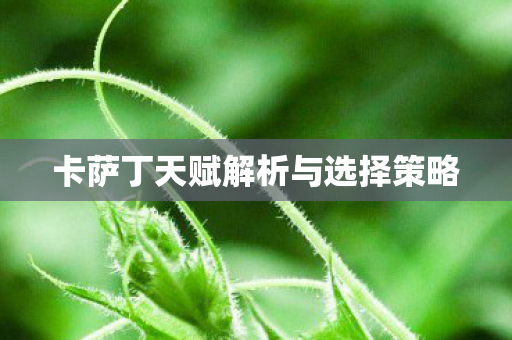 卡萨丁天赋解析与选择策略