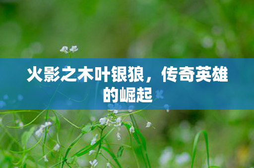 火影之木叶银狼，传奇英雄的崛起