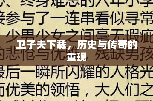 卫子夫下载,历史与传奇的重现 卫子夫下载,历史与传奇的重现