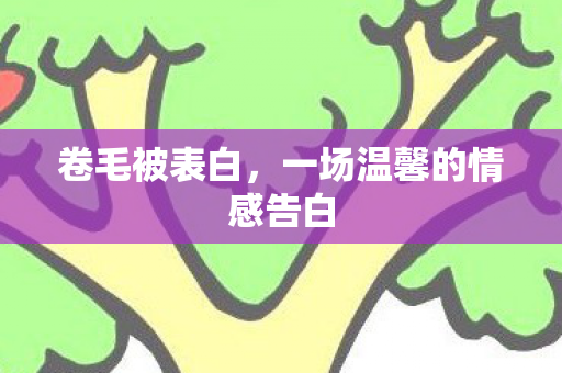 卷毛被表白，一场温馨的情感告白