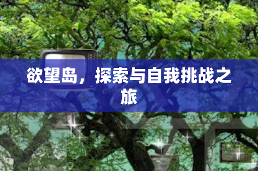 欲望岛，探索与自我挑战之旅