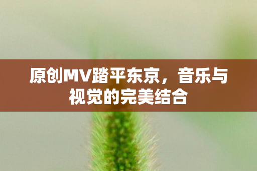 原创MV踏平东京，音乐与视觉的完美结合