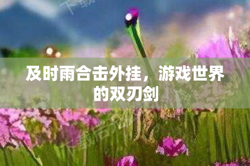 及时雨合击外挂,游戏世界的双刃剑 及时雨合击外挂,游戏世界的双刃剑