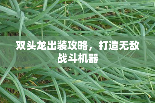 双头龙出装攻略,打造无敌战斗机器 双头龙出装攻略,打造无敌战斗机器