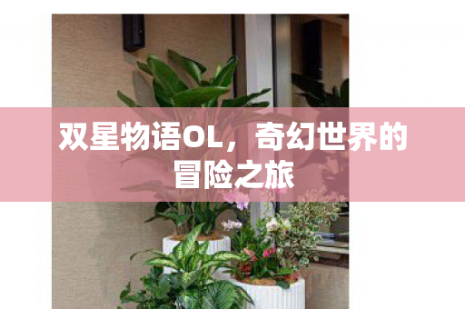双星物语OL，奇幻世界的冒险之旅