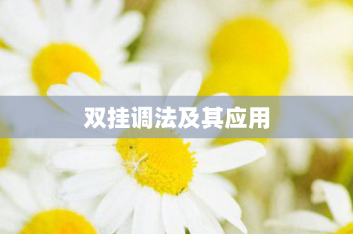 双挂调法及其应用