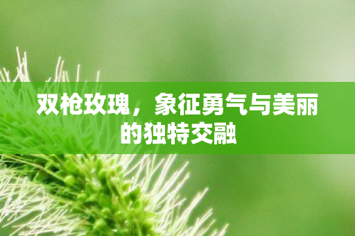 双枪玫瑰，象征勇气与美丽的独特交融