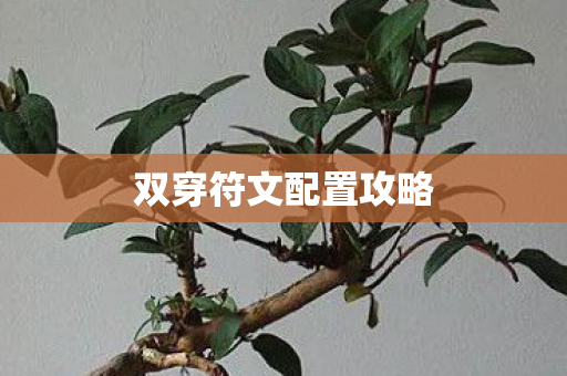 双穿符文配置攻略