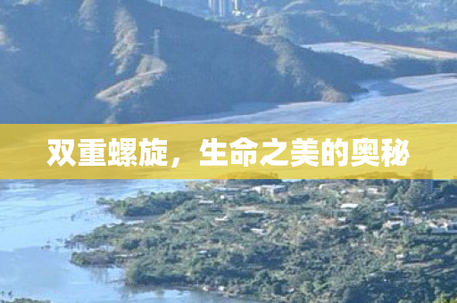 双重螺旋，生命之美的奥秘