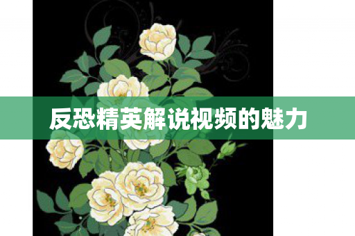 反恐精英解说视频的魅力