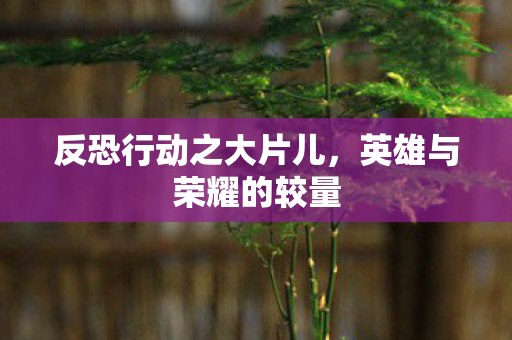反恐行动之大片儿,英雄与荣耀的较量 反恐行动之大片儿,英雄与荣耀的较量