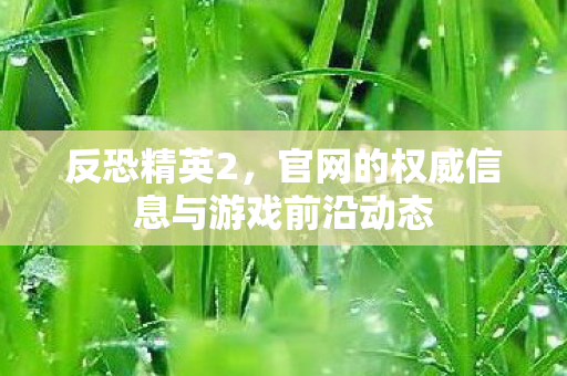 反恐精英2,官网的权威信息与游戏前沿动态 反恐精英2,官网的权威信息与游戏前沿动态