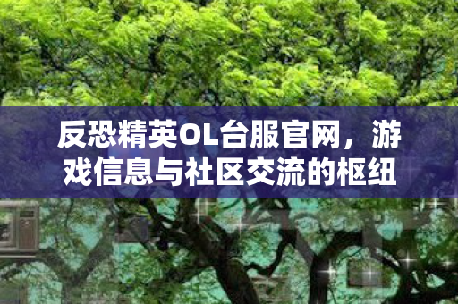 反恐精英OL台服官网,游戏信息与社区交流的枢纽 反恐精英OL台服官网,游戏信息与社区交流的枢纽