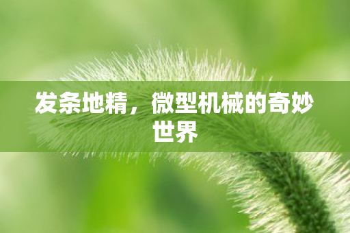 发条地精，微型机械的奇妙世界