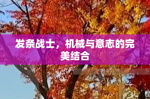 发条战士,机械与意志的完美结合 发条战士,机械与意志的完美结合
