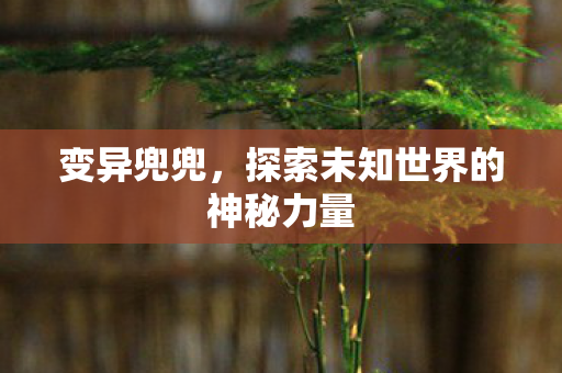 变异兜兜,探索未知世界的神秘力量 变异兜兜,探索未知世界的神秘力量