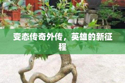 变态传奇外传，英雄的新征程