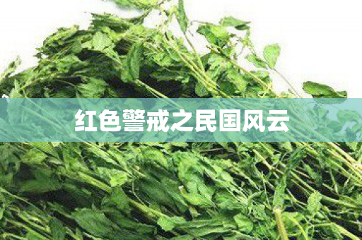 红色警戒之民国风云