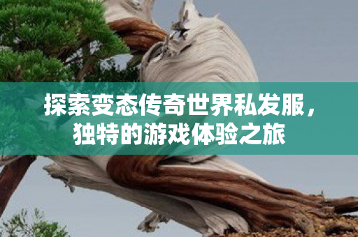 探索变态传奇世界私发服，独特的游戏体验之旅