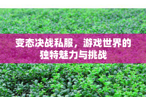 变态决战私服，游戏世界的独特魅力与挑战