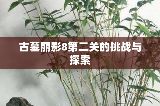 古墓丽影8第二关的挑战与探索