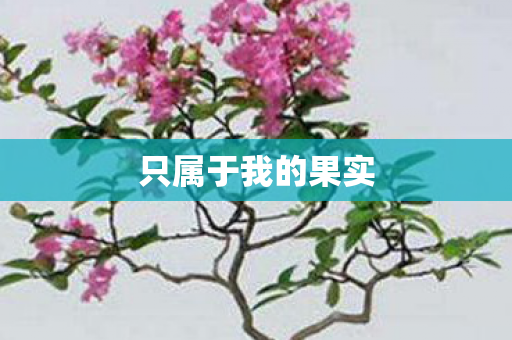 只属于我的果实 只属于我的果实