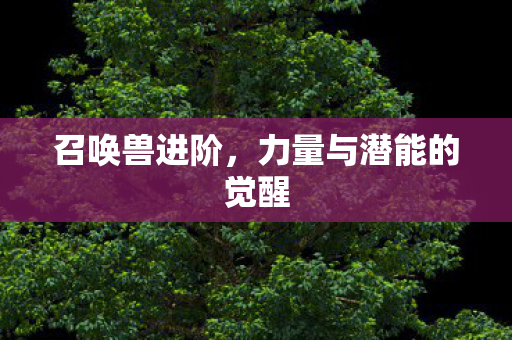 召唤兽进阶,力量与潜能的觉醒 召唤兽进阶,力量与潜能的觉醒