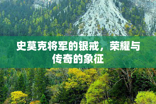史莫克将军的银戒，荣耀与传奇的象征