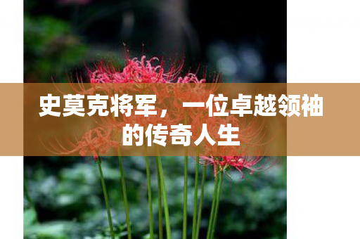 史莫克将军,一位卓越领袖的传奇人生 史莫克将军,一位卓越领袖的传奇人生