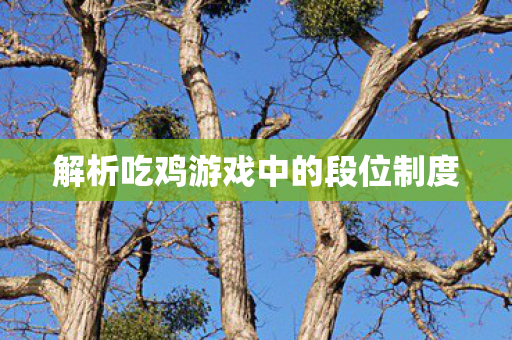 解析吃鸡游戏中的段位制度