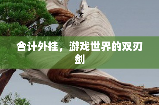 合计外挂，游戏世界的双刃剑