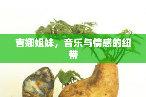 吉娜姐妹，音乐与情感的纽带